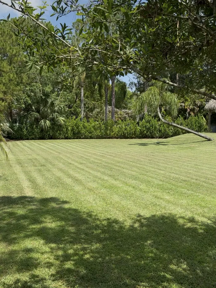 A freshly mowed, striped lawn by LR Landscaping